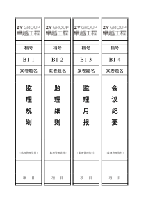 04-卓越档案盒脊背模板(3.31)