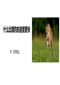 《什么比猎豹的速度更快》PPT课件-部编版