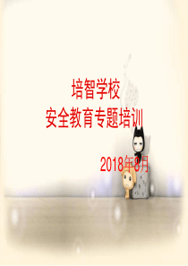 学校教师安全教育专题培训