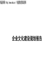 企业文化建设规划报告