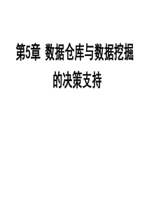 第5章：数据仓库与数据挖掘的决策支持(1)