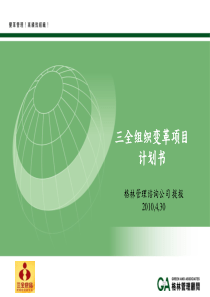 咨询公司组织提升计划