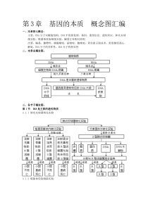 高中生物必修2 第3章基因的本质概念图汇编