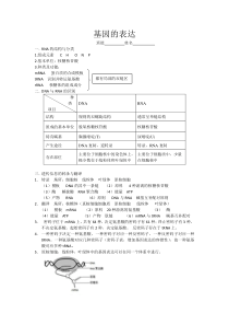 基因的表达知识点