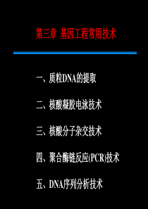 第三章 基因工程常用技术-9.18