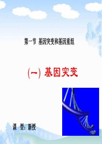 人教版高中生物必修二课件第五章第一节 基因突变和基因重组 (共32张PPT)