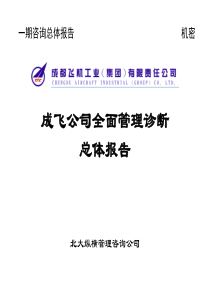 北大纵横 成飞公司全面管理诊断总体报告