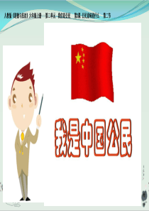 我是中国公民PPT课件