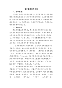 青年教师培养计划