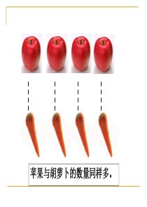 一年级数学上册早读资料1