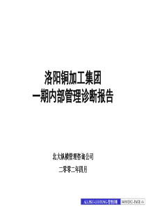 北大纵横洛铜集团内部诊断报告