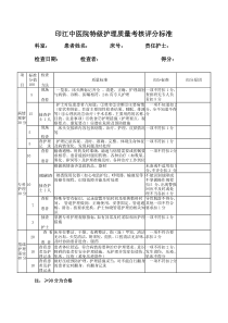 分级护理质量考核评分标准 (1)