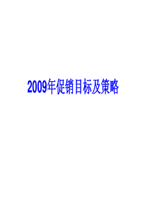 2009年超市促销目标及策略