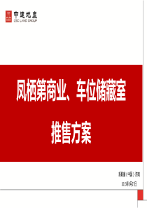 凤栖第商业、车位储藏室推售方案