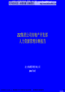 北大纵横房地产公司管理诊断报告