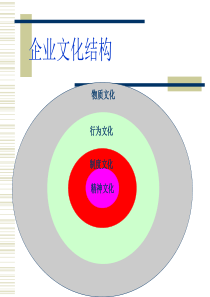 企业文化结构