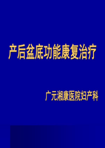 产后盆底功能康复治疗54页PPT