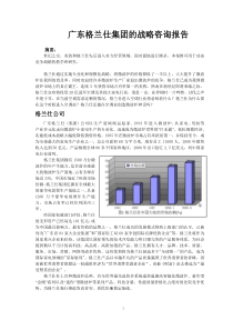 国内某知名咨询公司的格兰仕集团的战略咨询报告