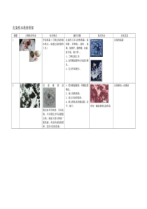 扎染校本教材框架