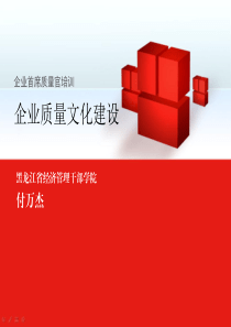 企业质量文化建设-付万杰