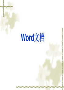 Word2003基础教程