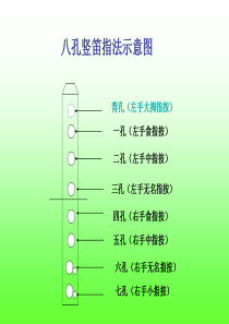 竖笛八孔指法教程