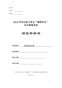 社会调研项目申请书格式及填写模板