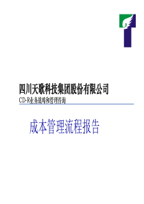 天歌公司成本管理流程—某咨询公司