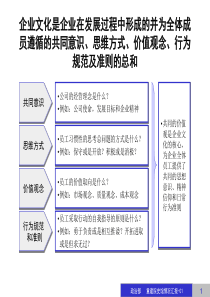 公司企业文化建设方案PPT