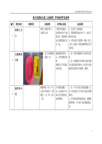 科学区材料投放