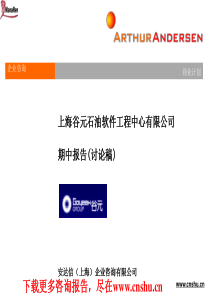 安达信-谷元-企业商业计划咨询报告