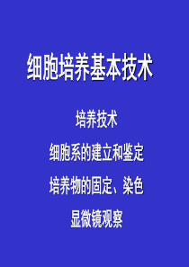 浙江大学细胞培养-基本技术