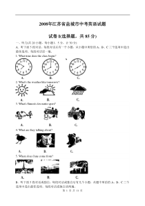 中考08江苏盐城