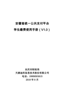 安徽统一公共支付平台