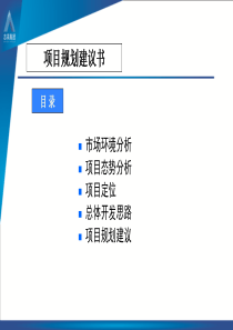 安徽项目规划建议书