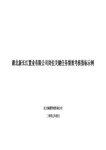 湖北新长江关键业绩考核指标示例-北大纵横