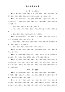 01XX公司总公司对分支机构分公司管理办法