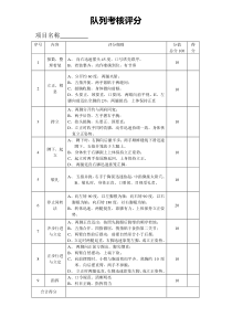 队列考核评分