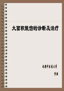 大面积烧伤的诊断及治疗