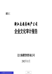 北大纵横-浙江众安-企业文化审计报告