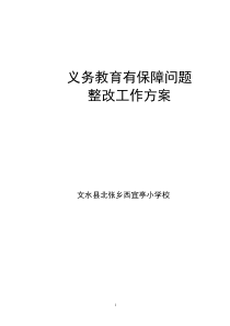 西宜亭学校义务教育有保障问题整改实施方案