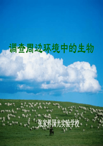 调查周边环境中的生物(正式)