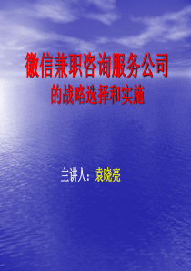 徽信兼职咨询服务公司的战略选择与实施