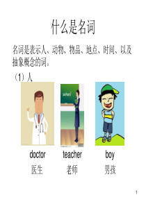 小学名词语法ppt课件