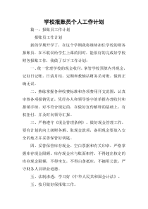 学校报账员个人工作计划