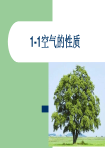 苏教版四年级上科学PPT