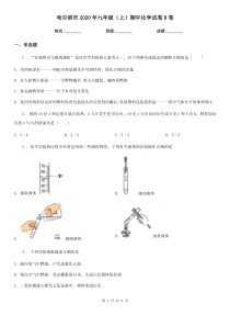 哈尔滨市2020年九年级(上)期中化学试卷B卷