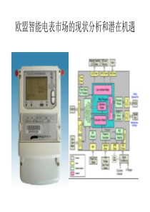 欧盟智能电表市场和现状分析和潜在机遇