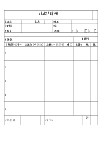 实例-公司员工绩效评价及发展表格