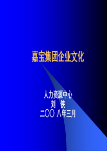 嘉宝集团企业文化（PPT30页)